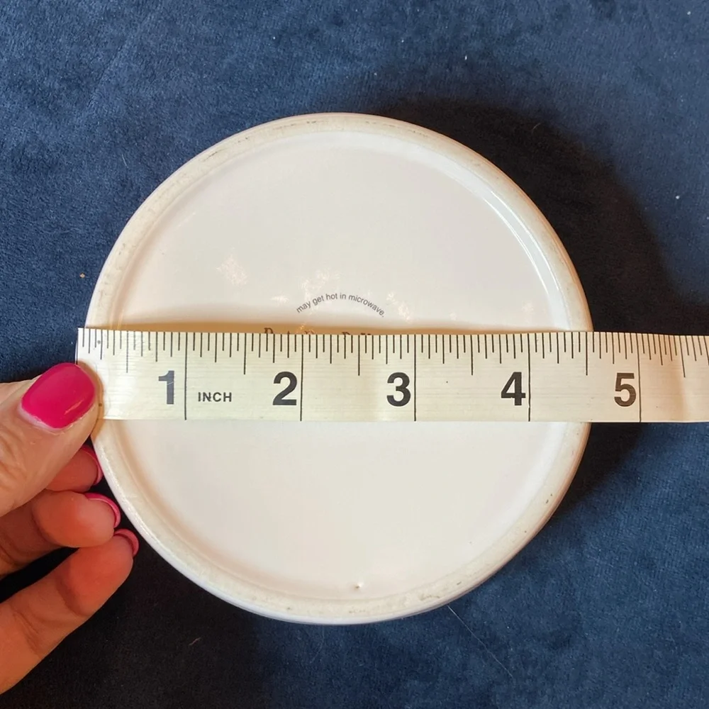 Rae Dunn ceramic 4.5” cat food bowl, 1.5” deep